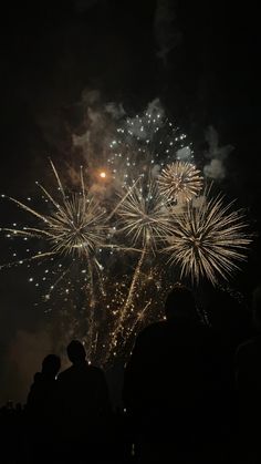 fireworks are lit up in the night sky with people looking at them and taking pictures