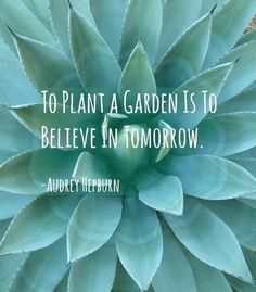 a green plant with a quote about to plant a garden is to believe in tomorrow