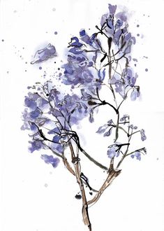 a painting of purple flowers on a white background