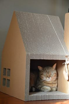 a cat is laying in a cardboard house