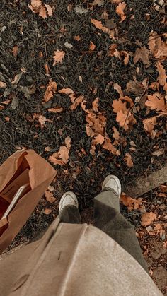 a person standing on the ground with their feet in a brown paper bag next to leaves