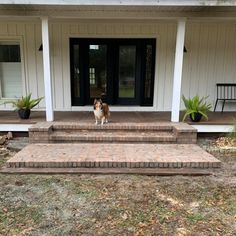 a dog standing on the front steps of a house