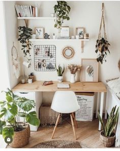 the instagram page on instagram shows an image of a desk with plants and pictures