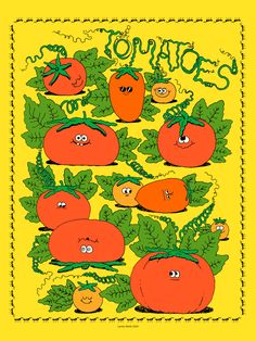 an image of tomatoes on a yellow background with words tomato's in the middle