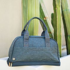 a blue bag sitting on top of a table next to a green cactus plant in front of a white wall