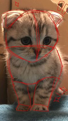 a cat sitting on top of a chair with red lines drawn across it's body