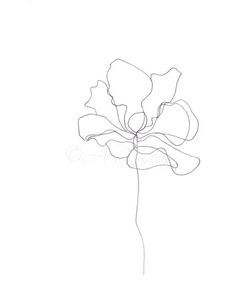 a drawing of a flower on a white background