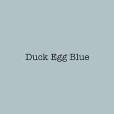 the words duck egg blue on a gray background