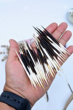 a hand holding several toothpicks in it's palm, with other tools nearby