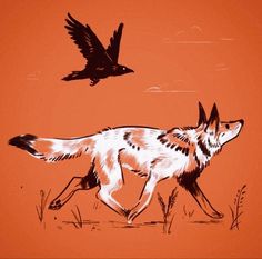 a drawing of a wolf running with a bird flying above it on an orange background