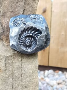 a rock with a shell carved into it sitting on a stone wall next to gravel