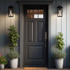 two potted plants sit on the front steps of a house next to a door