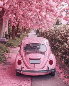 a pink vw bug parked on the side of a road next to a tree