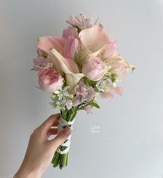 a hand holding a bouquet of pink and white flowers