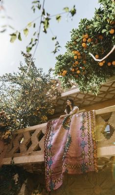 an orange tree with lots of fruit hanging from it's branches in the sun