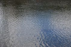 the reflection of trees in the water makes it look like they are floating on land