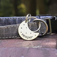 a dog collar with a personalized metal tag on it's front and back