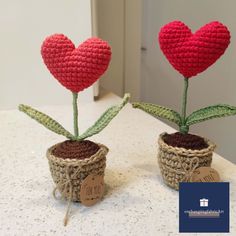 two crocheted hearts are placed in small pots