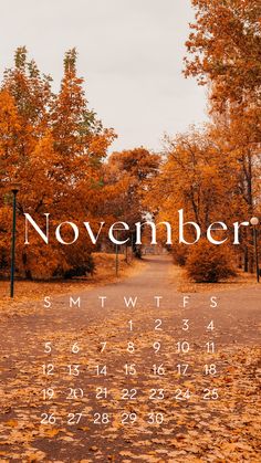 a calendar with the word november on it in front of trees and leaves that are turning orange