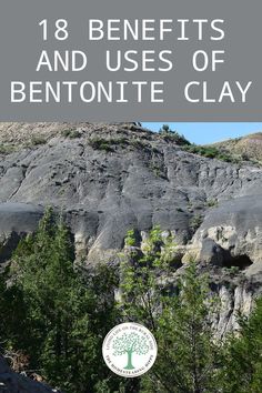 Aztec Clay, Calcium Bentonite Clay, Bentonite Clay Mask, Bath Benefits, Indian Healing Clay