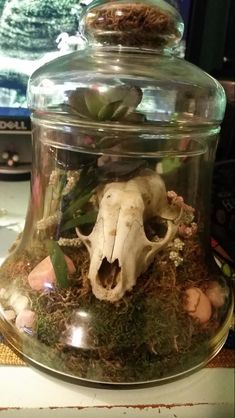 a glass jar filled with plants and a fake animal's skull in the middle