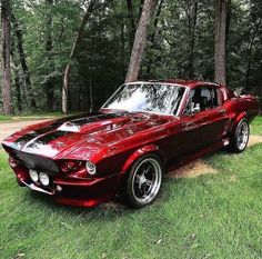 a red car parked on top of a lush green field in front of some trees