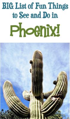 the big list of fun things to see and do in phoenix