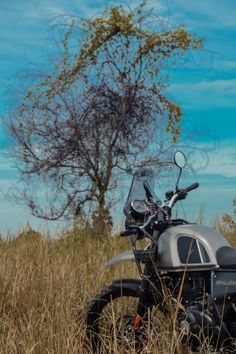 a motorcycle parked in the middle of tall grass with a tree and blue sky in the background