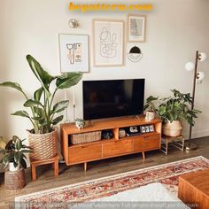 a flat screen tv sitting on top of a wooden entertainment center next to potted plants