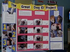 a bulletin board with pictures of dogs on it