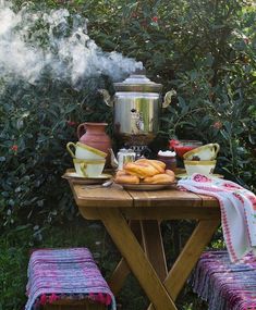 a picnic table with food on it in front of some bushes and trees, next to a potted plant