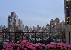 some pink flowers are in large planters on a balcony overlooking the city at night