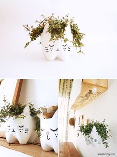 two pictures with plants in the shape of cats