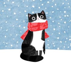 a black and white cat with a red scarf on it's neck sitting in the snow