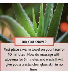 Natural Skin Care Remedies, Natural Face Skin Care, Good Skin Tips, Beauty Tips For Glowing Skin, Perfect Skin Care Routine, Healthy Skin Tips, Skin Remedies, Skin Care Remedies, Skin Care Recipes