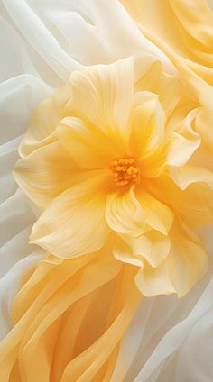 two yellow and white flowers are in the center of an image with wavy fabric behind them