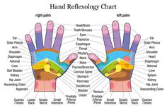 Essential Things To Know About Hand Pressure Points Our bodies are covered by a whole network of pressure points. Some believe that by applying pressure on these points we can influence the different organs in our body, as well as our overall health and wellbeing. There's not enough research to support the statement th Hand Pressure Points, Reflexology Benefits, Ear Reflexology, Reflexology Foot Chart, Hand Reflexology, Reflexology Chart, Reflexology Massage, Holistic Care, Foot Reflexology