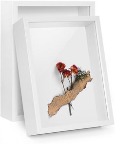 two framed pictures with flowers on them