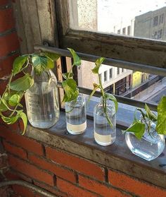 three vases with plants in them sitting on a window sill next to a brick wall