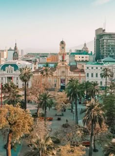 an aerial view of a city with palm trees in the foreground and buildings in the background