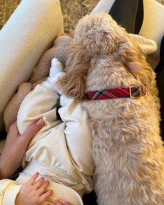 a baby and a dog are sleeping together