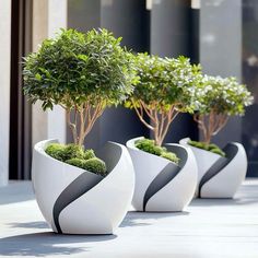 three white vases with trees in them