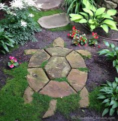 a garden with various plants and flowers around it in the middle of a stone path