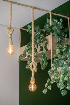 three light bulbs hanging from a rope with plants in the background