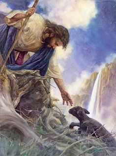 an image of jesus and his dog in the wilderness with sunlight shining down on him