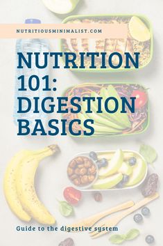 Guide to the basics of how your digestive system works and signs  and symptoms of digestion problems when it’s not functioning properly. A  summary of the function of the human digestive system plus symptoms of common digestion problems such as constipation, diarrhea, bloating, lactose  intolerance, gluten intolerance, SIBO, heartburn, and IBS. #digestion  #nutritionfacts #health Digestion Tips, The Human Digestive System, Swallow Food, Human Digestive System, Sistem Pencernaan, Count Calories, Lactose Intolerance, Low Stomach Acid, Small Intestine Bacterial Overgrowth