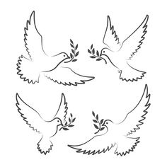 three doves flying with olive branches in their beaks stock photo and royalty illustration