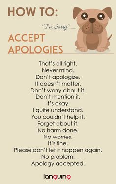 a poster with an animal saying how to accept apologies in english and spanish