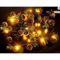 christmas lights and pine cones on a black background