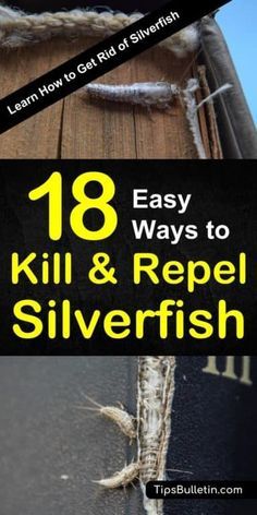 Get Rid Of Silverfish, Best Pest Control, Flea Prevention, Deep Cleaning Tips, Insect Control, Silver Fish, Diatomaceous Earth, Simple Life Hacks, House Cleaning